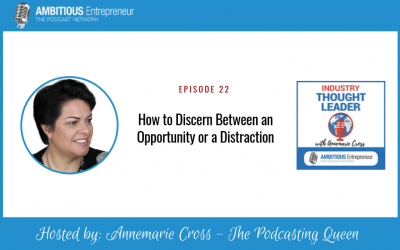 22: How to Discern Between an Opportunity or a Distraction